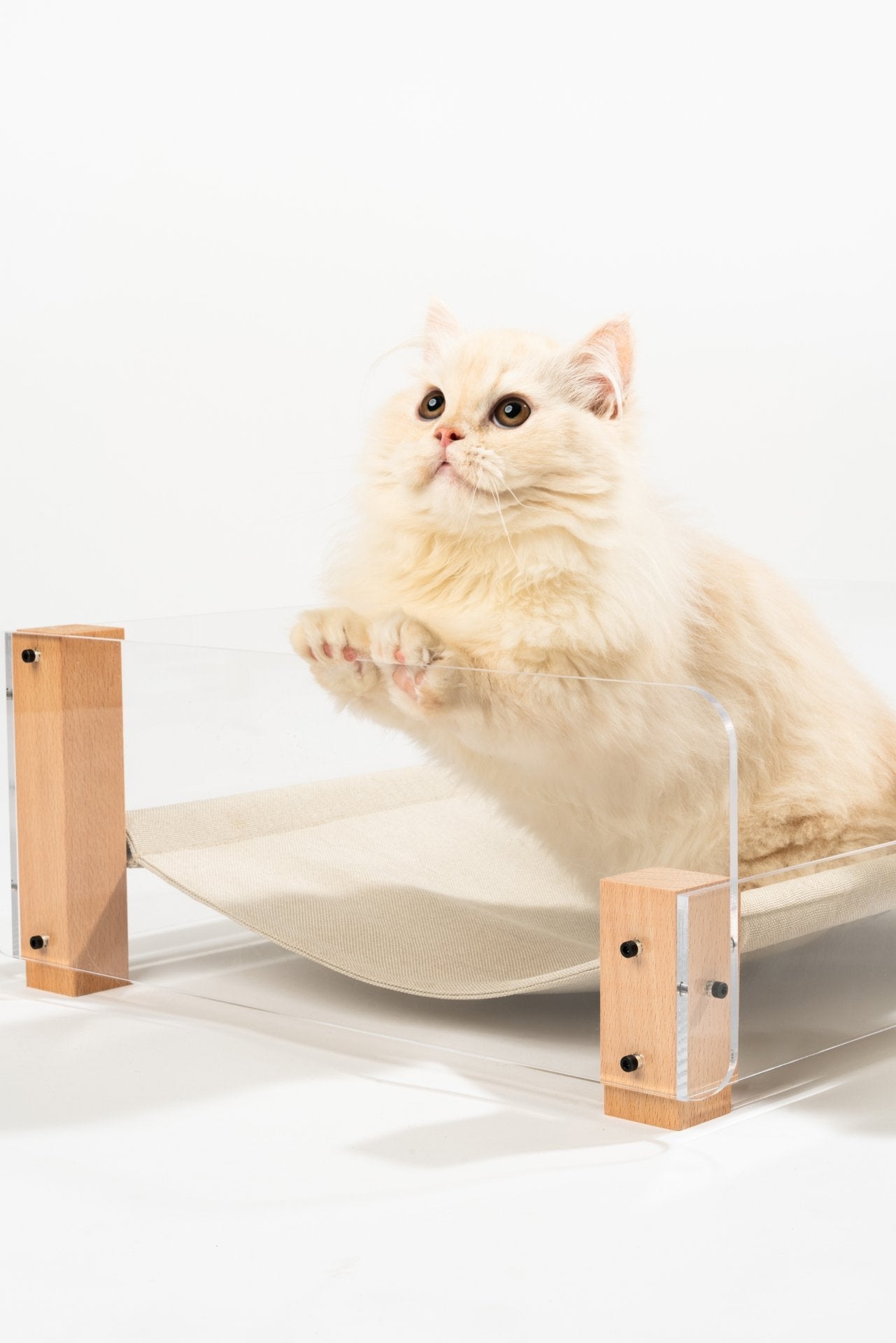 Pidan Acrylic Hammock Bed
