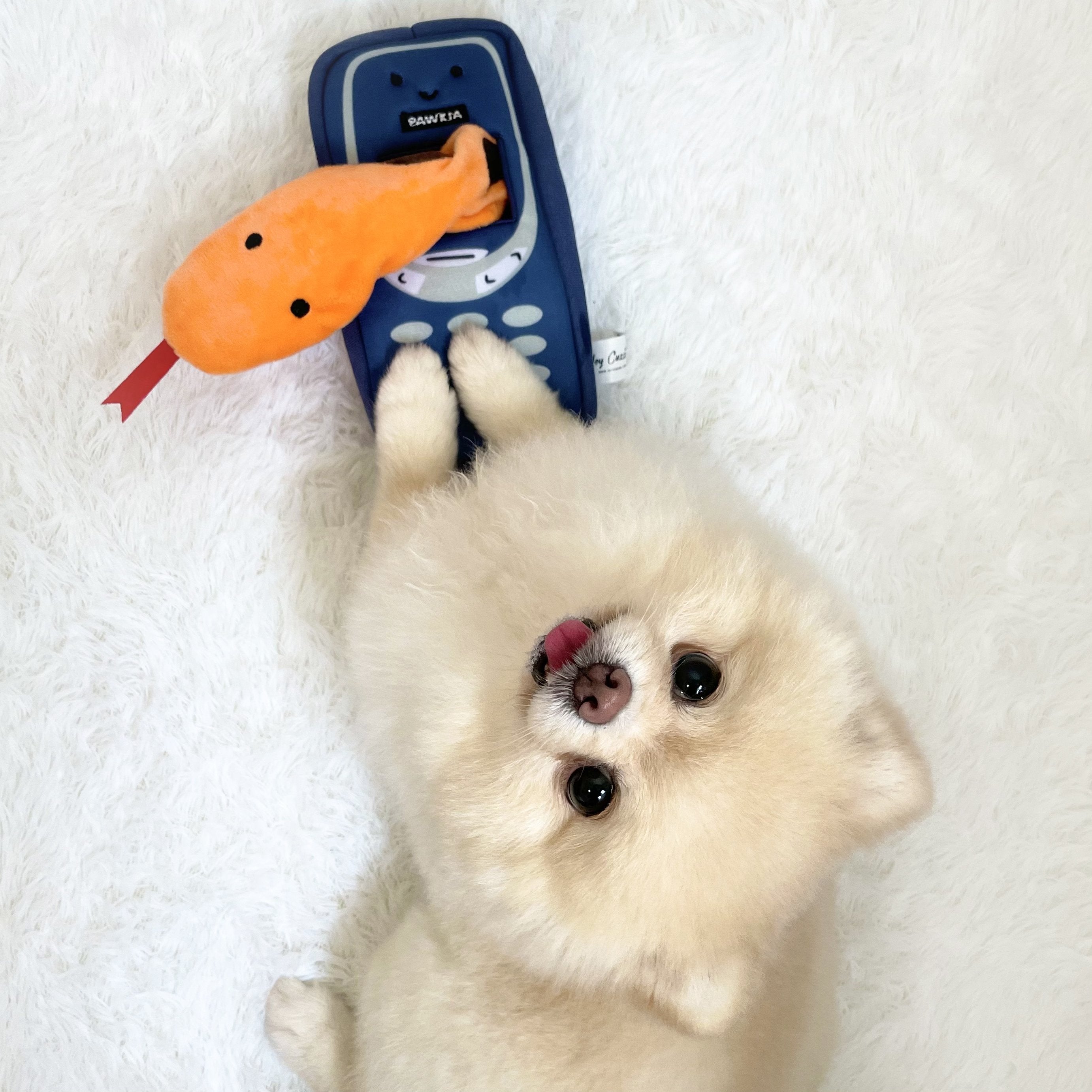 Hey Cuzzies Hide N Seek Pawkia Interactive Dog Toy