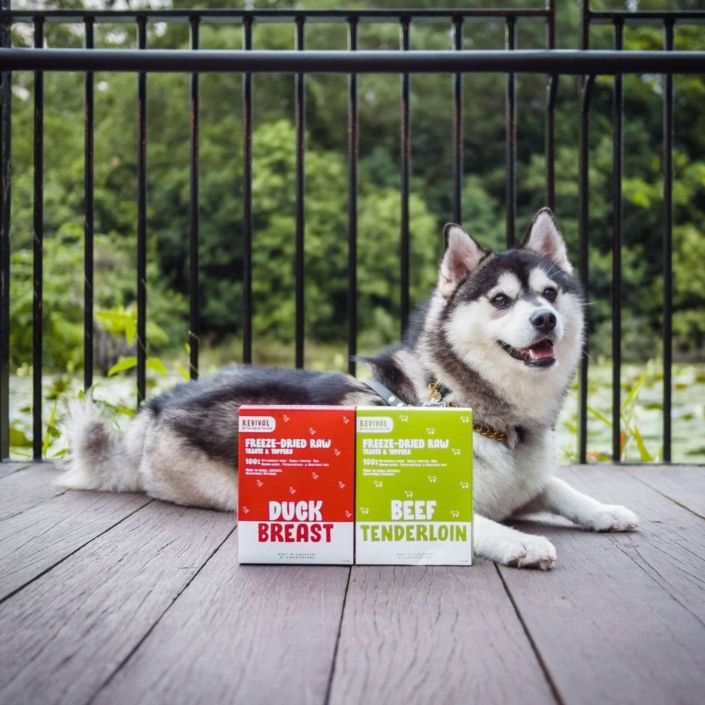 Revival Beef Tenderloin Freeze-Dried Raw Treats For Cats & Dogs 50g