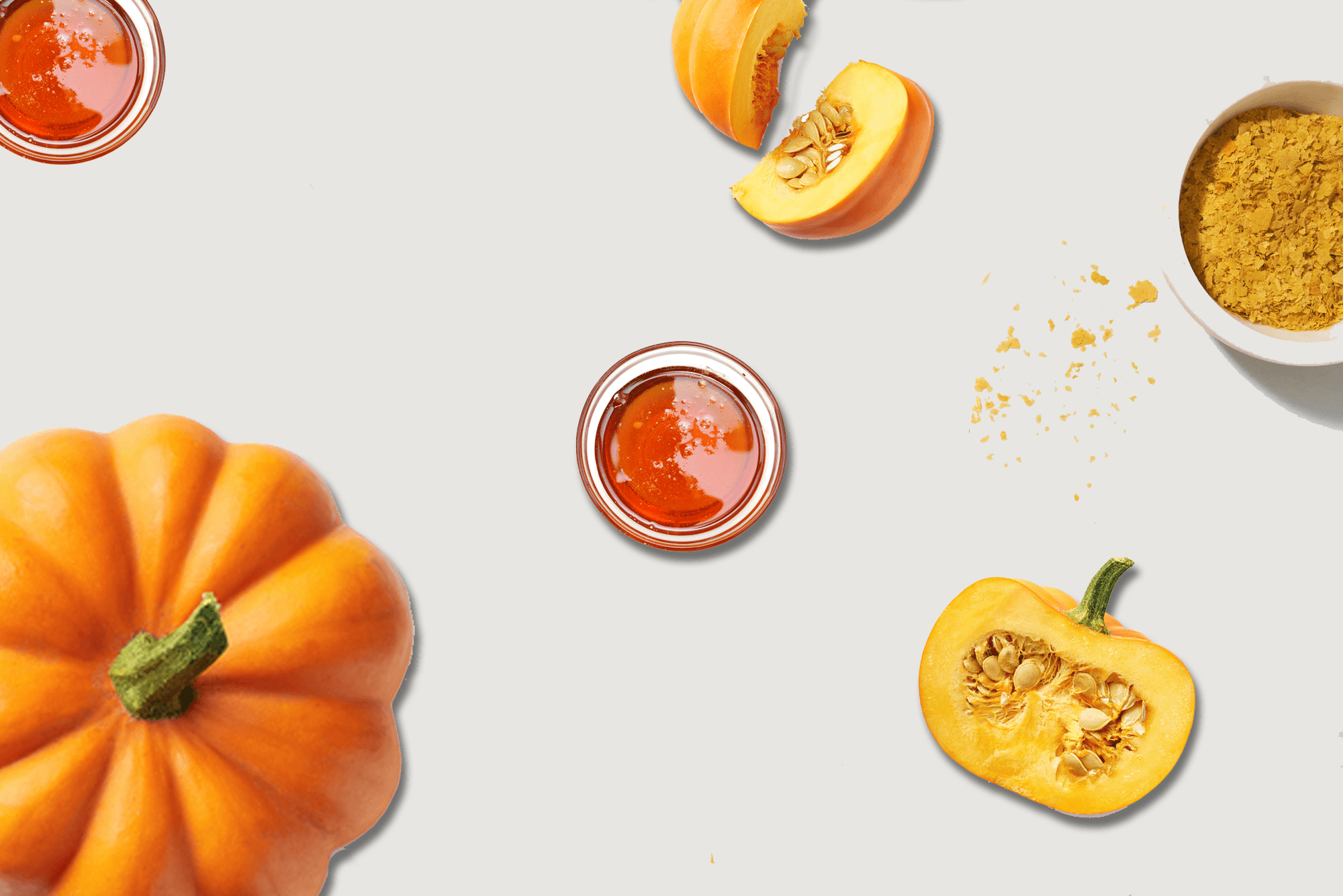 Because Animal Noochies+ Pumpkin Organic Dog Cookie Treats 8oz