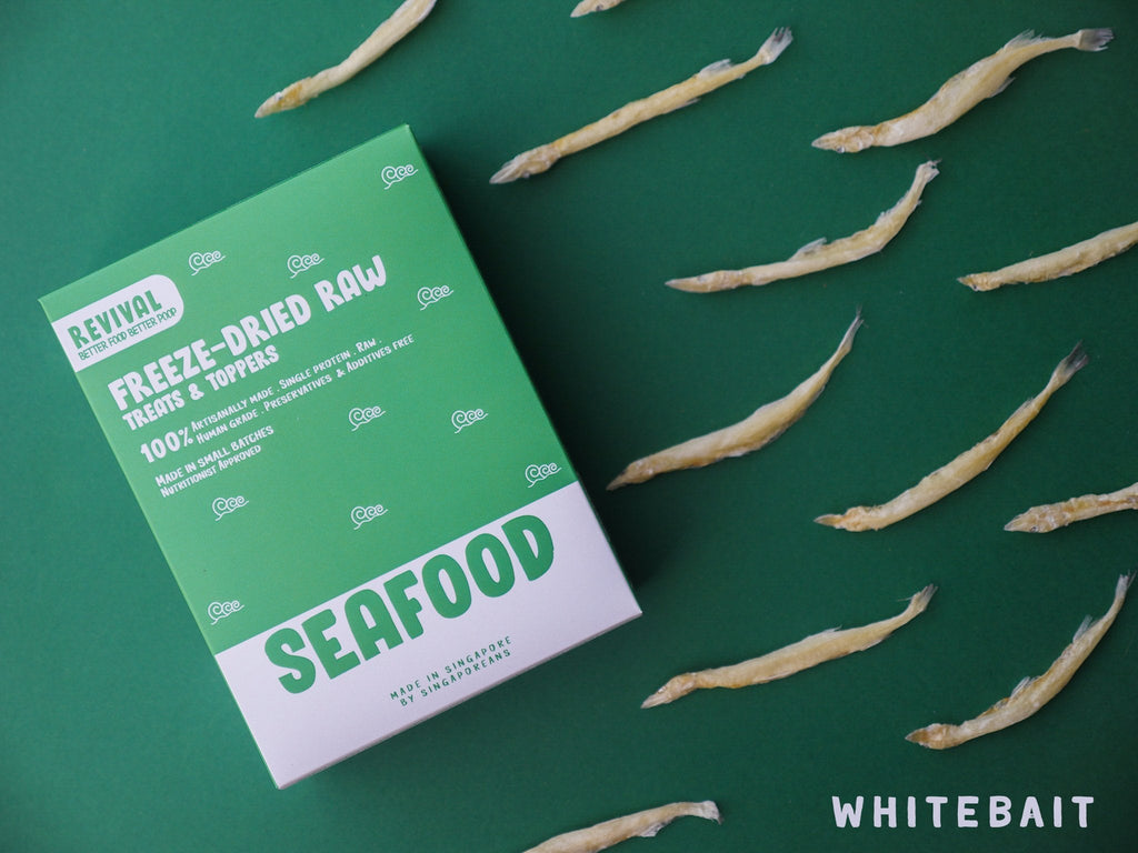 Revival Seafood Whitebait Freeze-Dried Raw Treats For Cats & Dogs