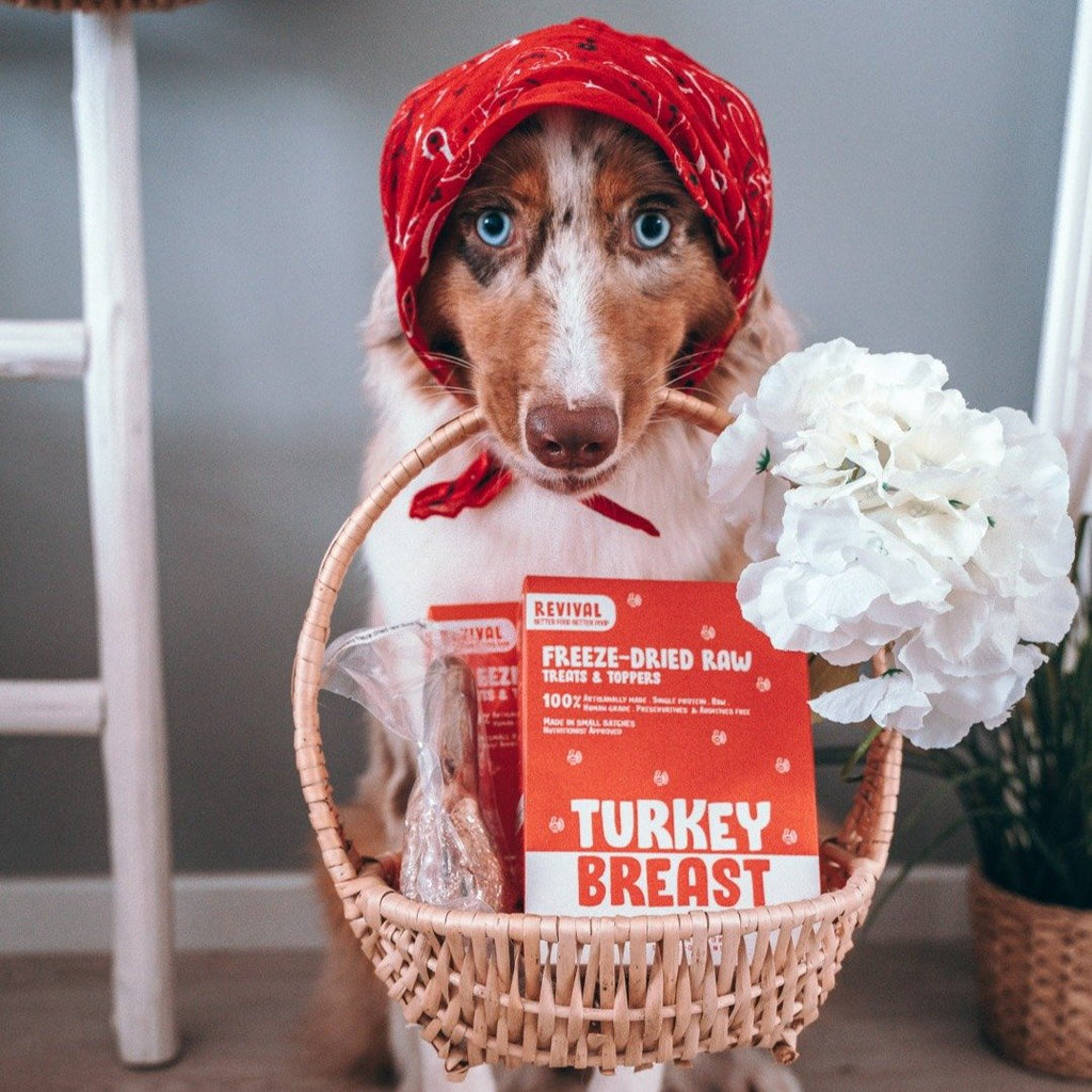 Revival Turkey Breast Freeze-Dried Raw Treats For Cats & Dogs 50g