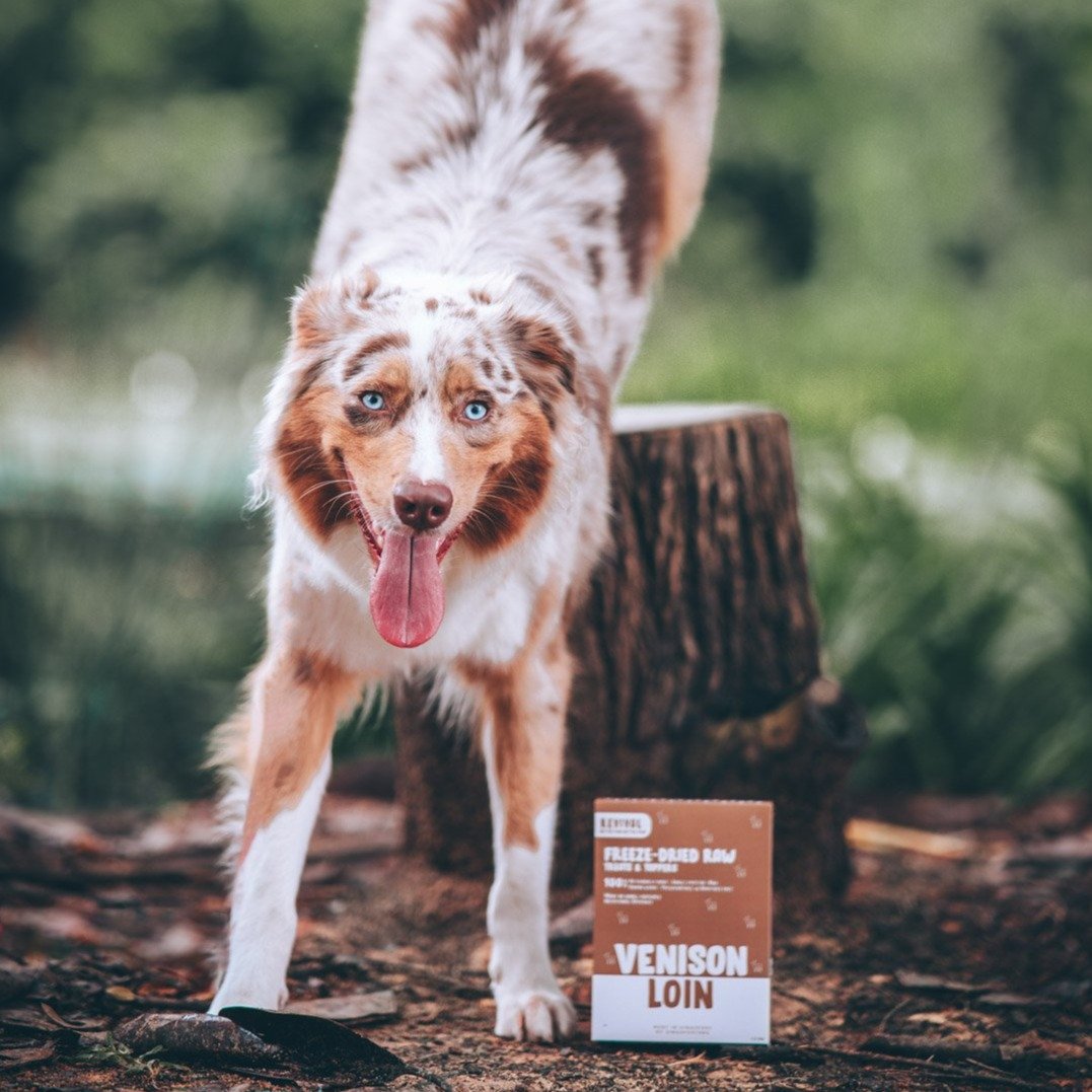Revival Venison Loin Freeze-Dried Raw Treats For Cats & Dogs 50g