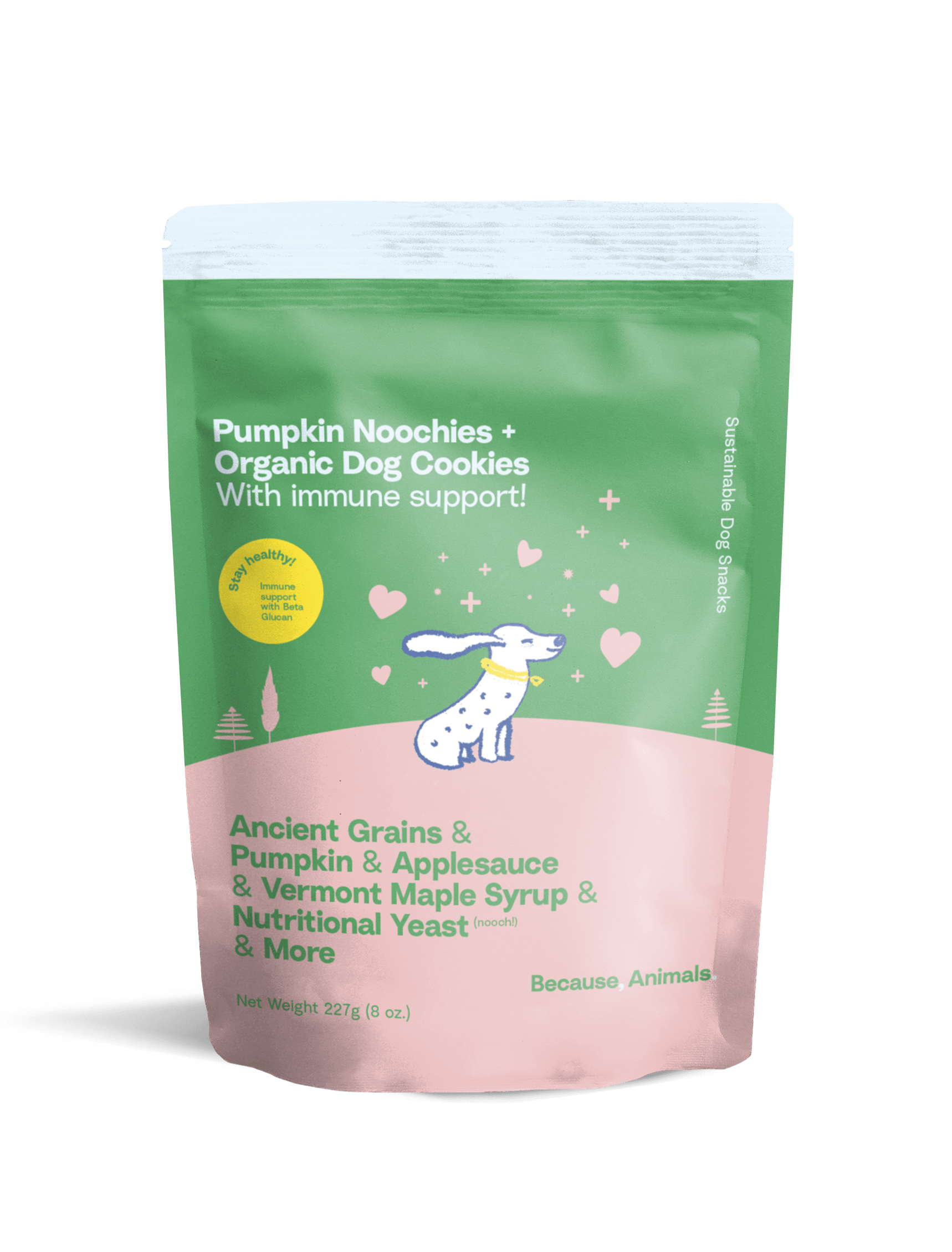 Because Animal Noochies+ Pumpkin Organic Dog Cookie Treats 8oz