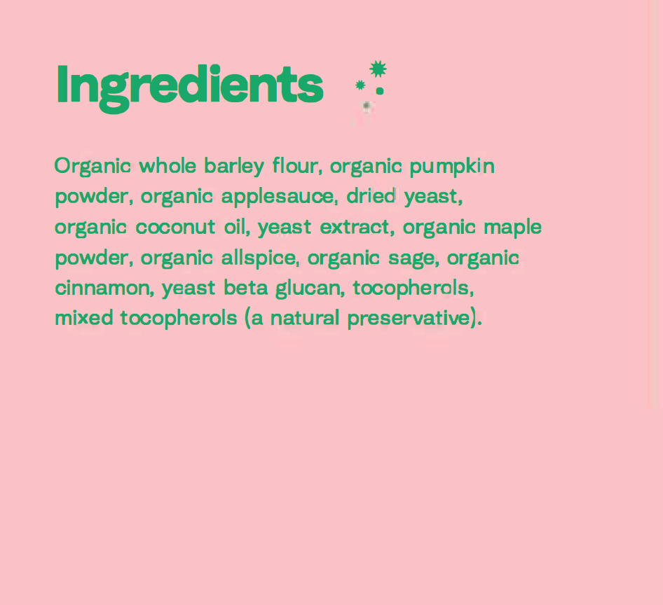 Because Animal Noochies+ Pumpkin Organic Dog Cookie Treats 8oz