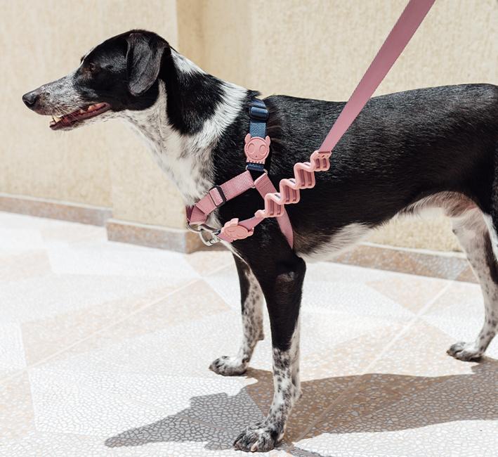 Zee.Dog Soft-Walk Dog Harness (Folk)