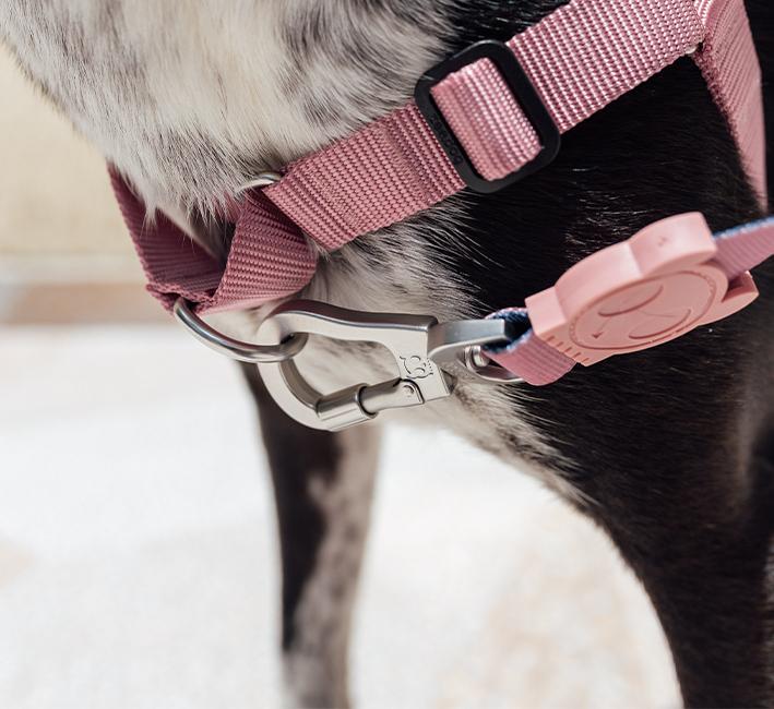 Zee.Dog Soft-Walk Dog Harness (Folk)